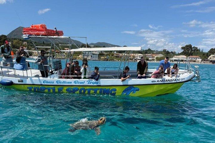 ザキントスの亀の冒険ミジトレスとエロス洞窟4時間