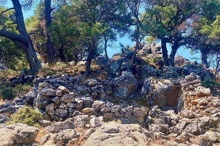 クレタ島 : Kroustas Forest Guided Hiking & Beach Swim