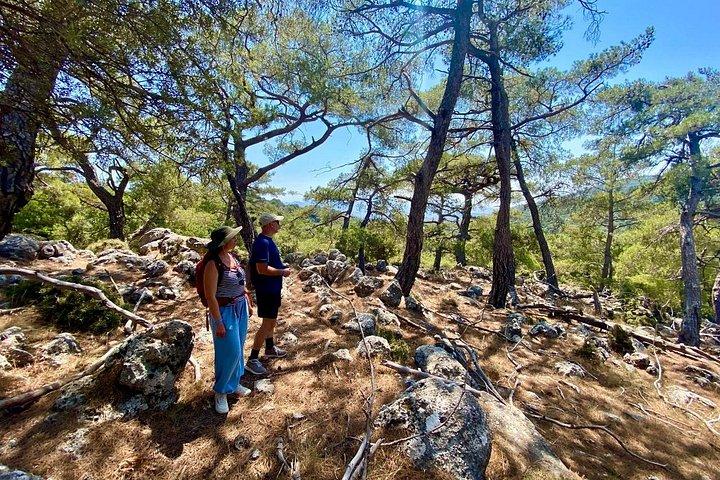クレタ島 : Kroustas Forest Guided Hiking & Beach Swim