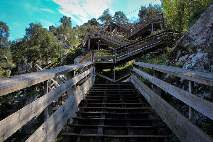 バスで行くポルト・アロウカ : 516 Bridge & Paiva Walkways - ECOTOUR
