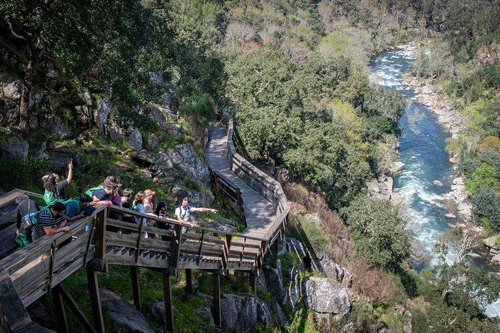 バスで行くポルト・アロウカ : 516 Bridge & Paiva Walkways - ECOTOUR