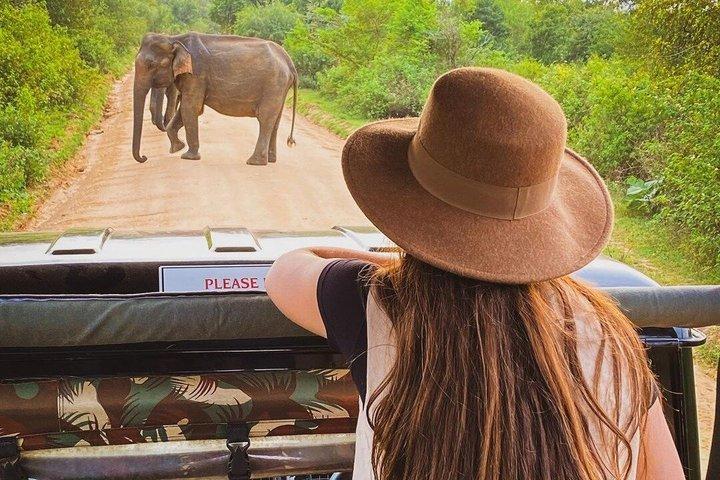 ミネリヤ国立公園のオールインクルーシブサファリプライベートサファリ