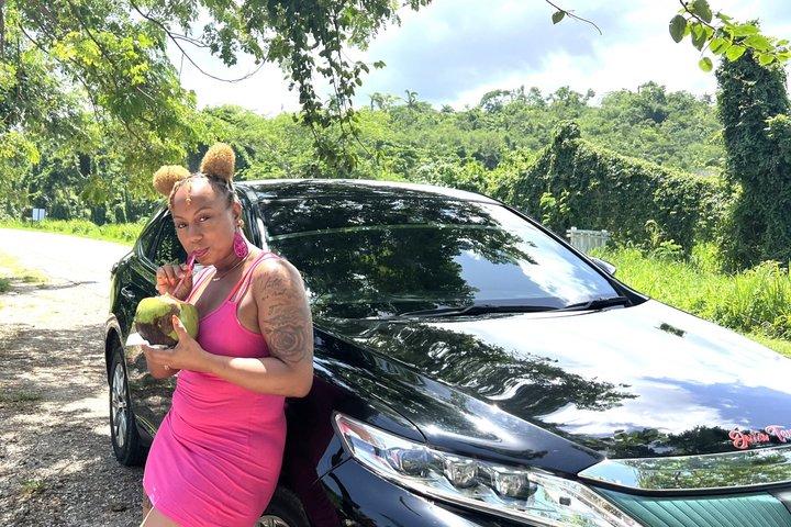 Lyx VIP privat transfer till Princess Hotell och Resorts