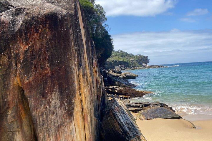 Sydney: Royal National Park Small Group Hike, Swim, Picnic