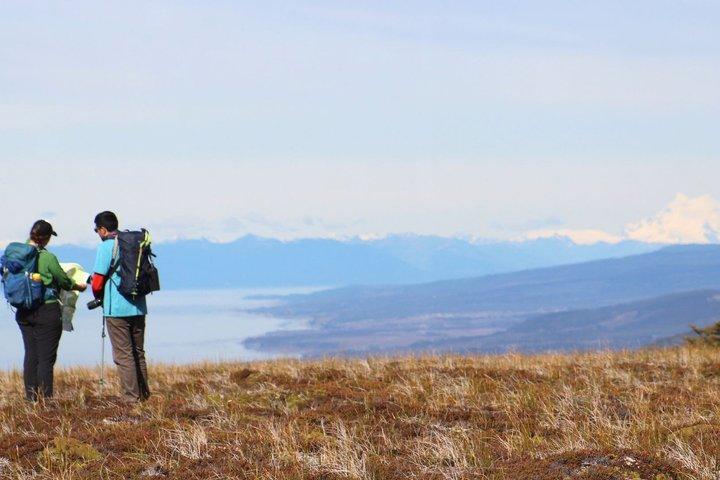 Escursione privata di mezza giornata nella foresta della Patagonia a Punta Arenas