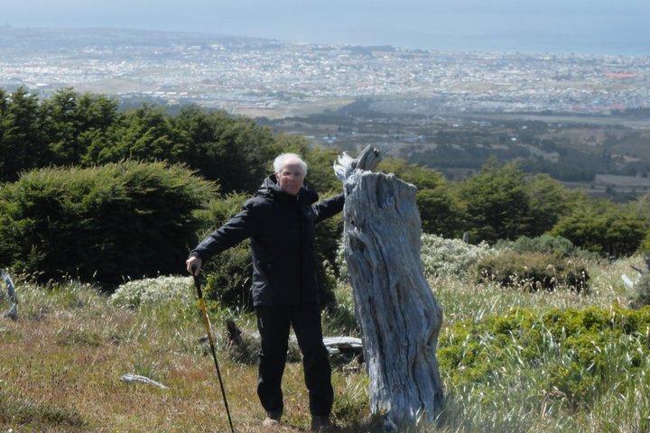 Private Full-Day Patagonian Forest Hike