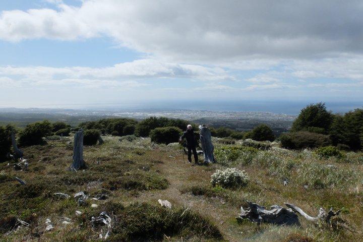 Private Full-Day Patagonian Forest Hike