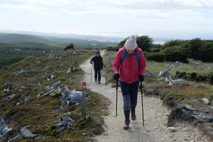 Private Full-Day Patagonian Forest Hike