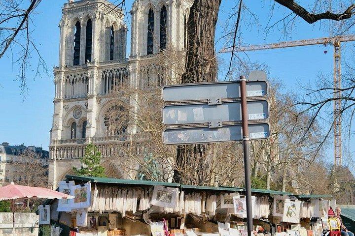 Private oder halbprivate Notre Dame Reborn Inside Tour