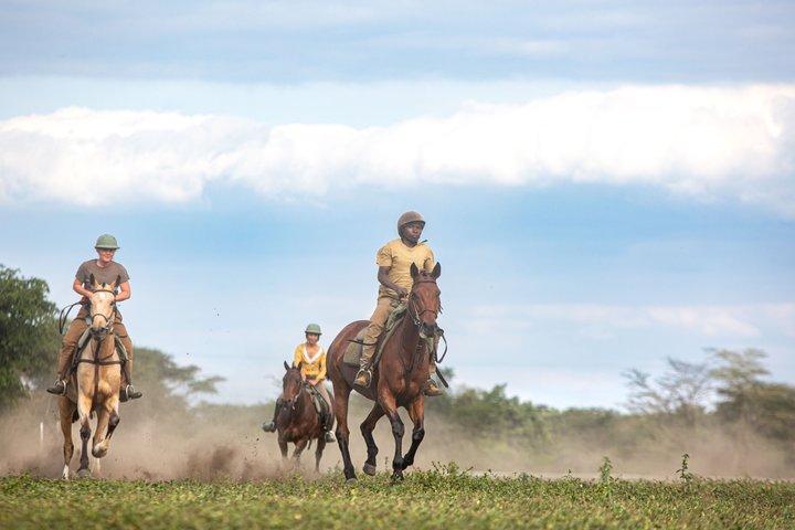 Horseback ridning i Tanzania