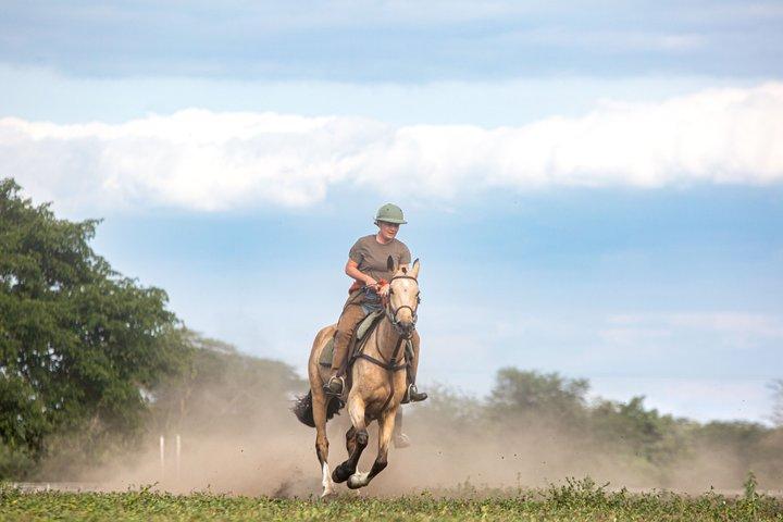 Horseback ridning i Tanzania