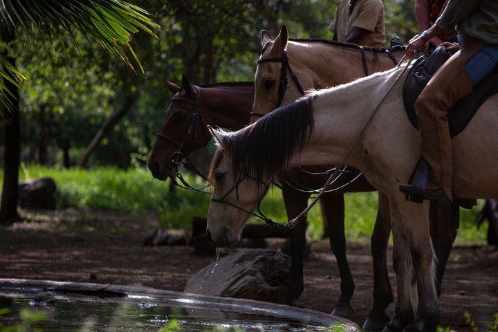Reiten in Tansania