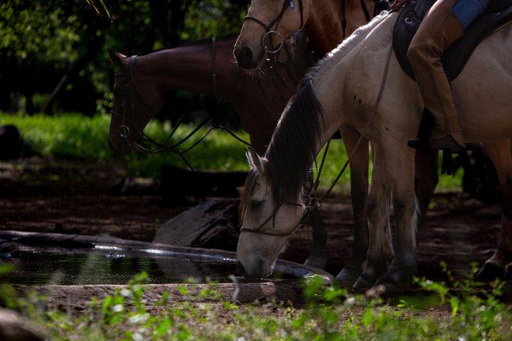 Reiten in Tansania