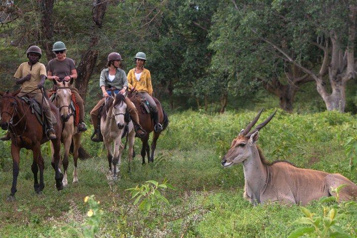 Reiten in Tansania