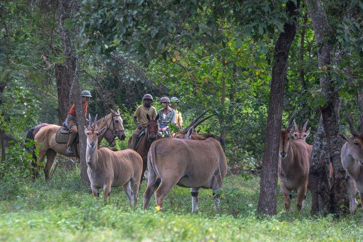 Reiten in Tansania