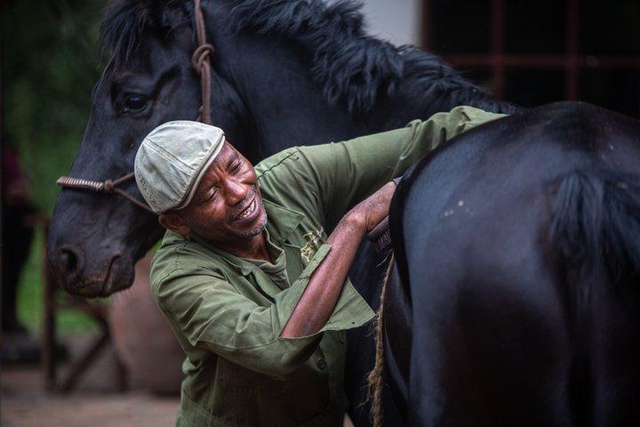 Reiten in Tansania
