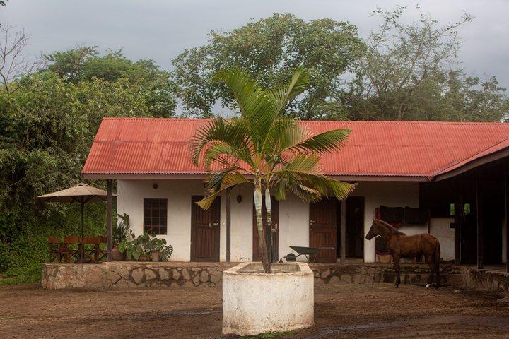Reiten in Tansania