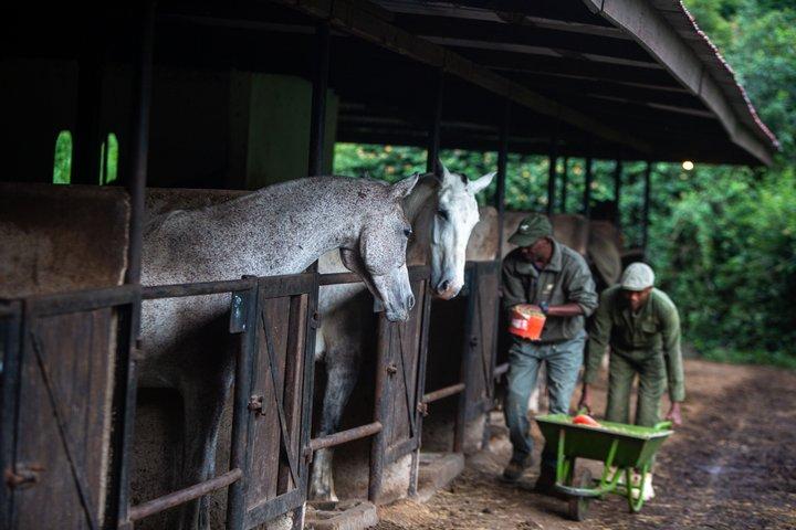 Reiten in Tansania