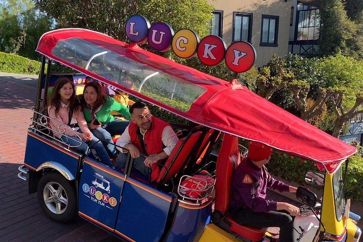 ベイクルーズプラスサンフランシスコプライベートツアーラッキートゥクトゥク
