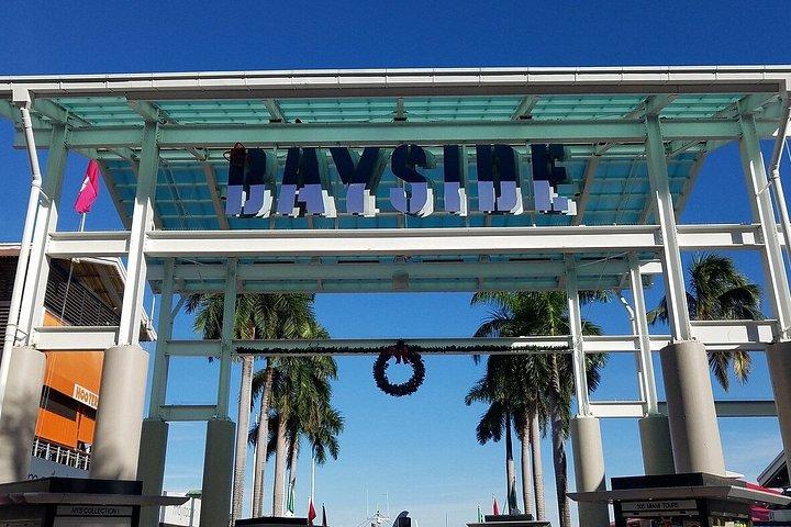 マイアミ、リトルハバナ、エバーグレーズ国立公園小グループツアー