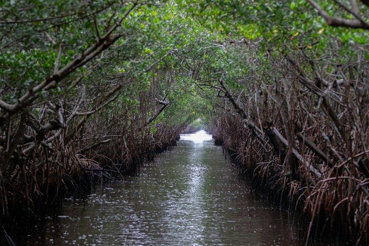 Hoteller i nærheden af Miami, Little Havana, Everglades National Park