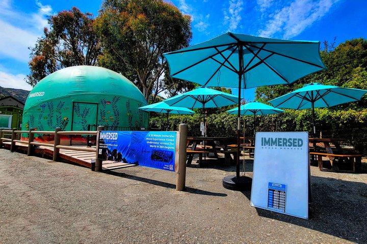 Resolution: Immersive Dome Theater Experience Ticket