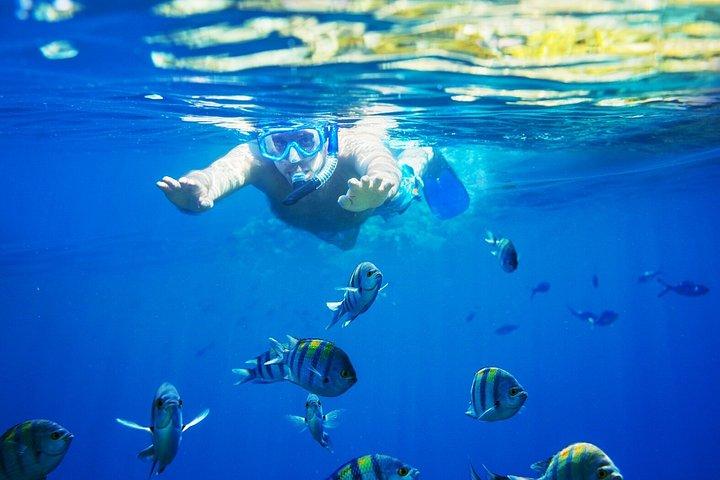 Experiencia de snorkel en Bali