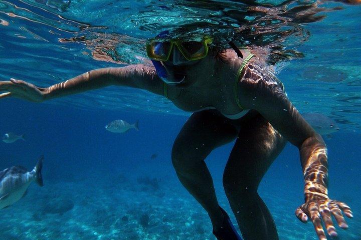 Experiencia de snorkel en Bali
