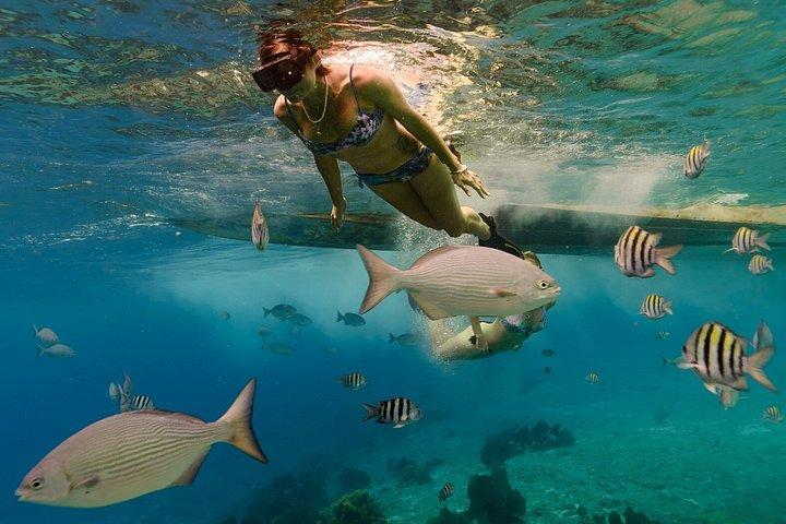 Experiencia de snorkel en Bali