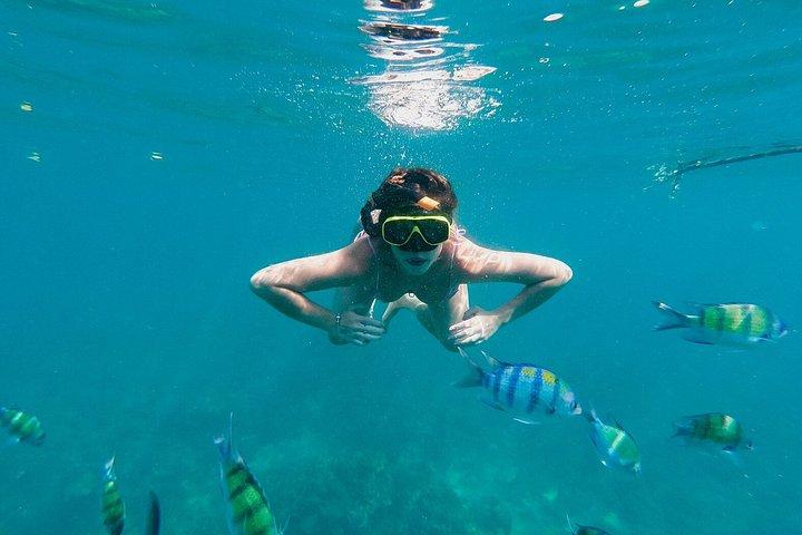 Experiencia de snorkel en Bali