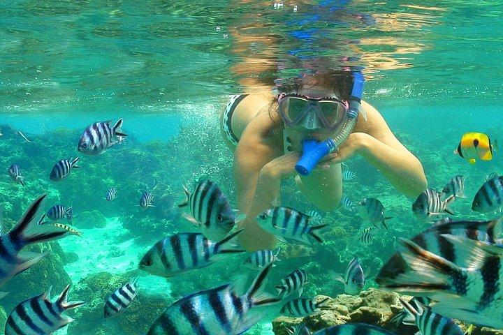 Experiencia de snorkel en Bali