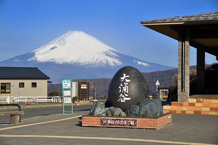 箱根の小涌谷と芦ノ湖の日帰りツアー、富士山ビュー付き