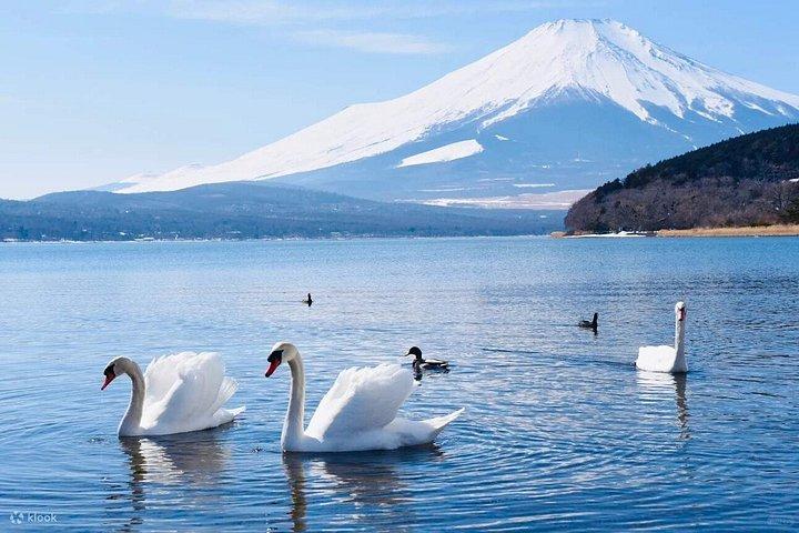 箱根の小涌谷と芦ノ湖の日帰りツアー、富士山ビュー付き
