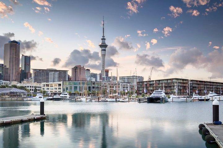 Visite d'une demi-journée en petit groupe à Auckland City - Meilleurs endroits
