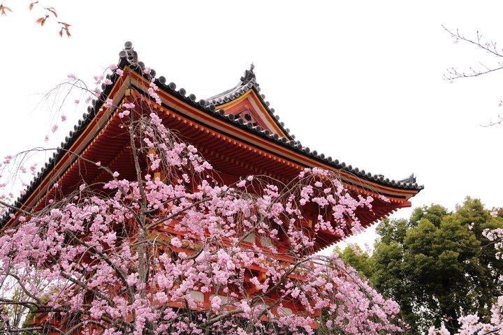 京都：金閣寺＆穏やかな庭園ガイドツアー（チケット付き）