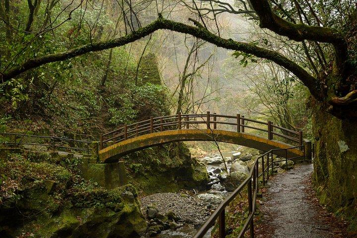阿蘇山、高千穂峡、または黒川温泉からの福岡日帰り旅行