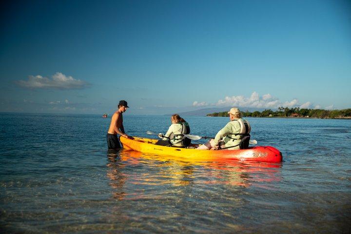 Turtle Town Coastal Kayak & Snorkel: Turtles Guaranteed