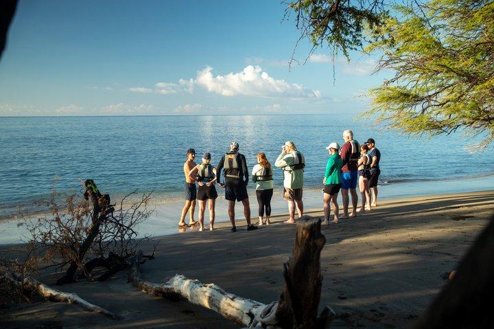 Turtle Town Coastal Kayak & Snorkel: Turtles Guaranteed