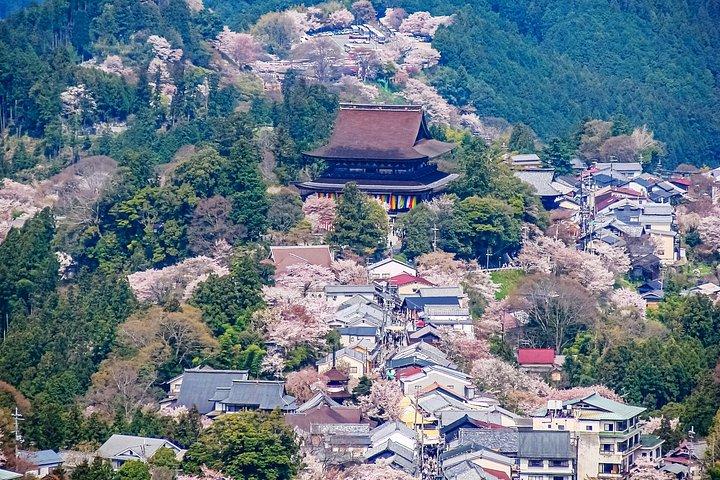 大阪から吉野山の神聖な過去を探る