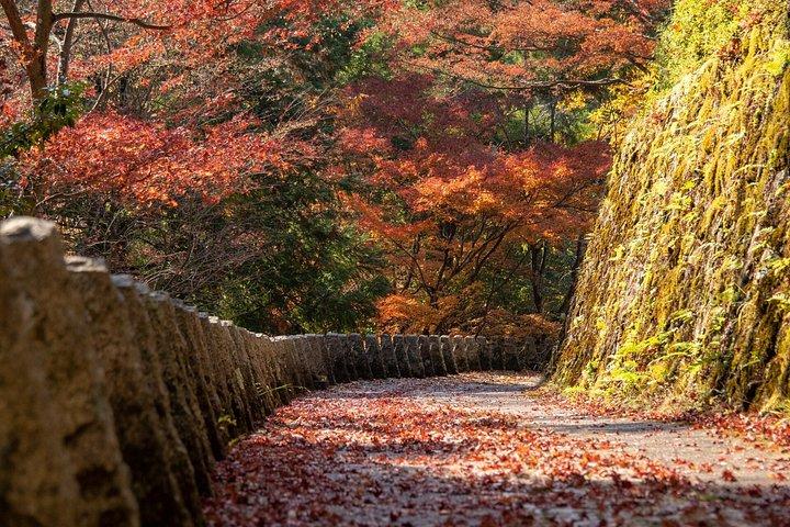 大阪から吉野山の神聖な過去を探る
