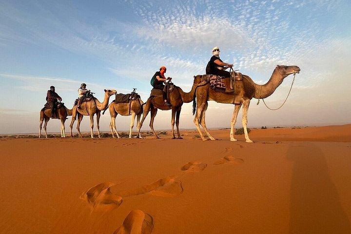 4-dages eventyr fra Marrakech til Fez/Marrakech via ørkenen