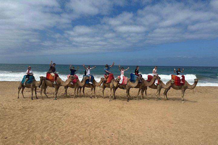 マルベージャまたはマラガからのプライベート日帰り旅行（すべて込み）