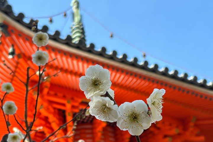 Mitaki Peace Tour Beyond Central Hiroshima