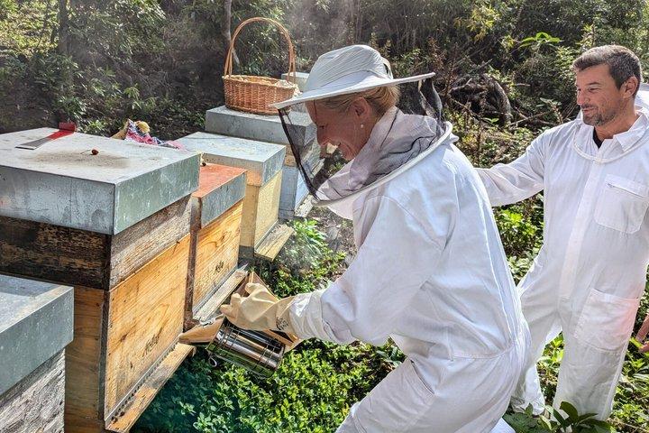 Fulddagstur: Honey, Mountains & Cheese Tour