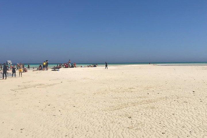 Ras Mohamed Snorkeling and White Island Experience