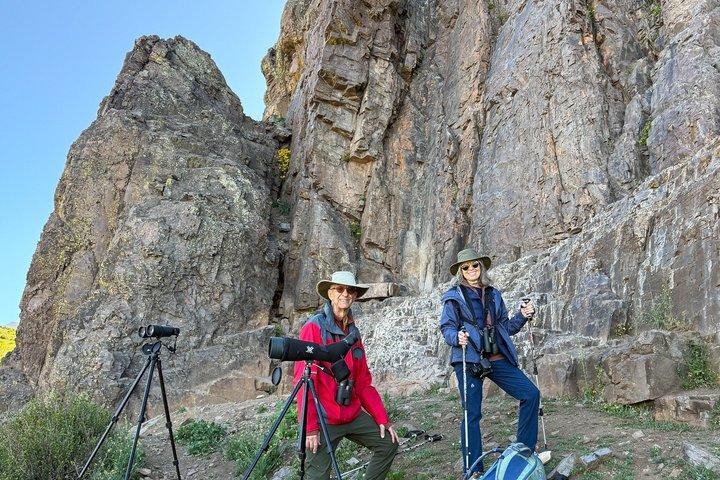 Half-Day Birdwatching Santiago: Wetland or Mountain