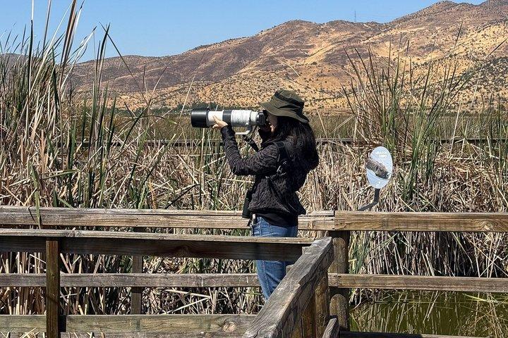 Half-Day Birdwatching Santiago: Wetland or Mountain