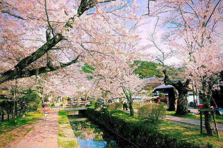 京都の見どころ＆自然の中に隠れた逸品（プライベートバンエンガイド）