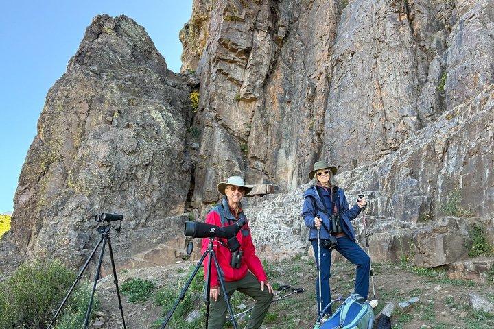 Birdwatching from Santiago: Andes or Pacific Coast. Flexible Tour