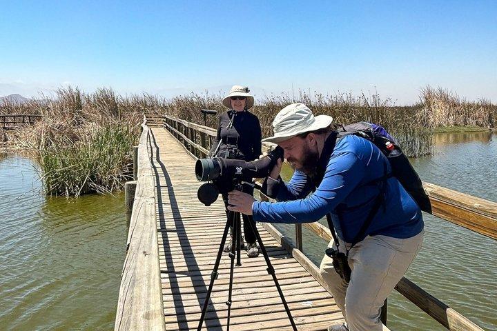 Birdwatching from Santiago: Andes or Pacific Coast. Flexible Tour